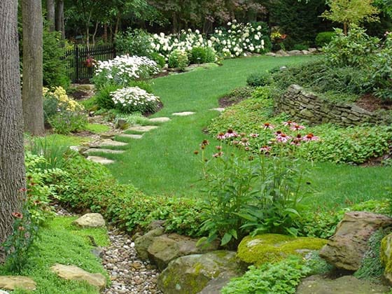 A fully landscaped backyard