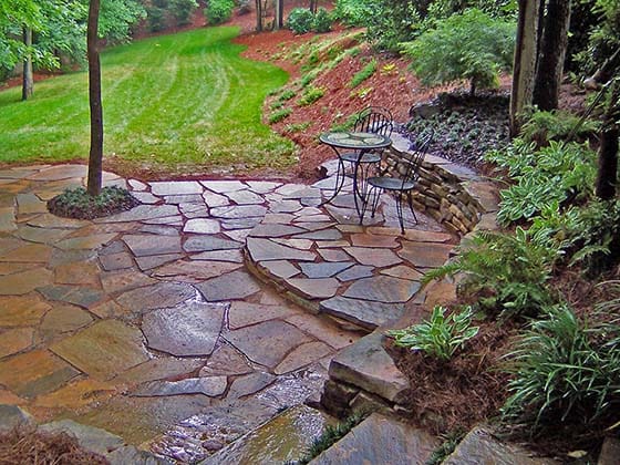 A shaded side yard with suitable plants